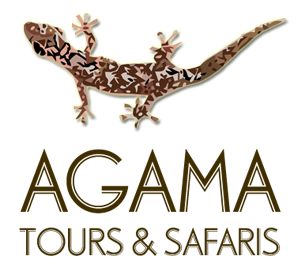 Agama Tours and Safaris